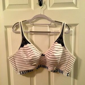 Lane Bryant Bra (48D)